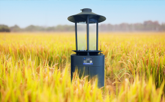 高标准农田建设必备品：智能虫情测报灯